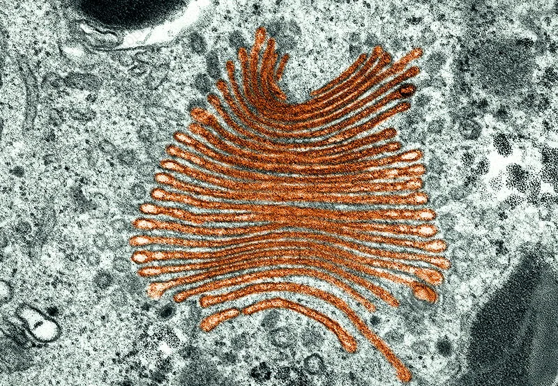 Lire la suite à propos de l’article Climat : Jean Jouzel / Hervé Le Treut (compte rendu)