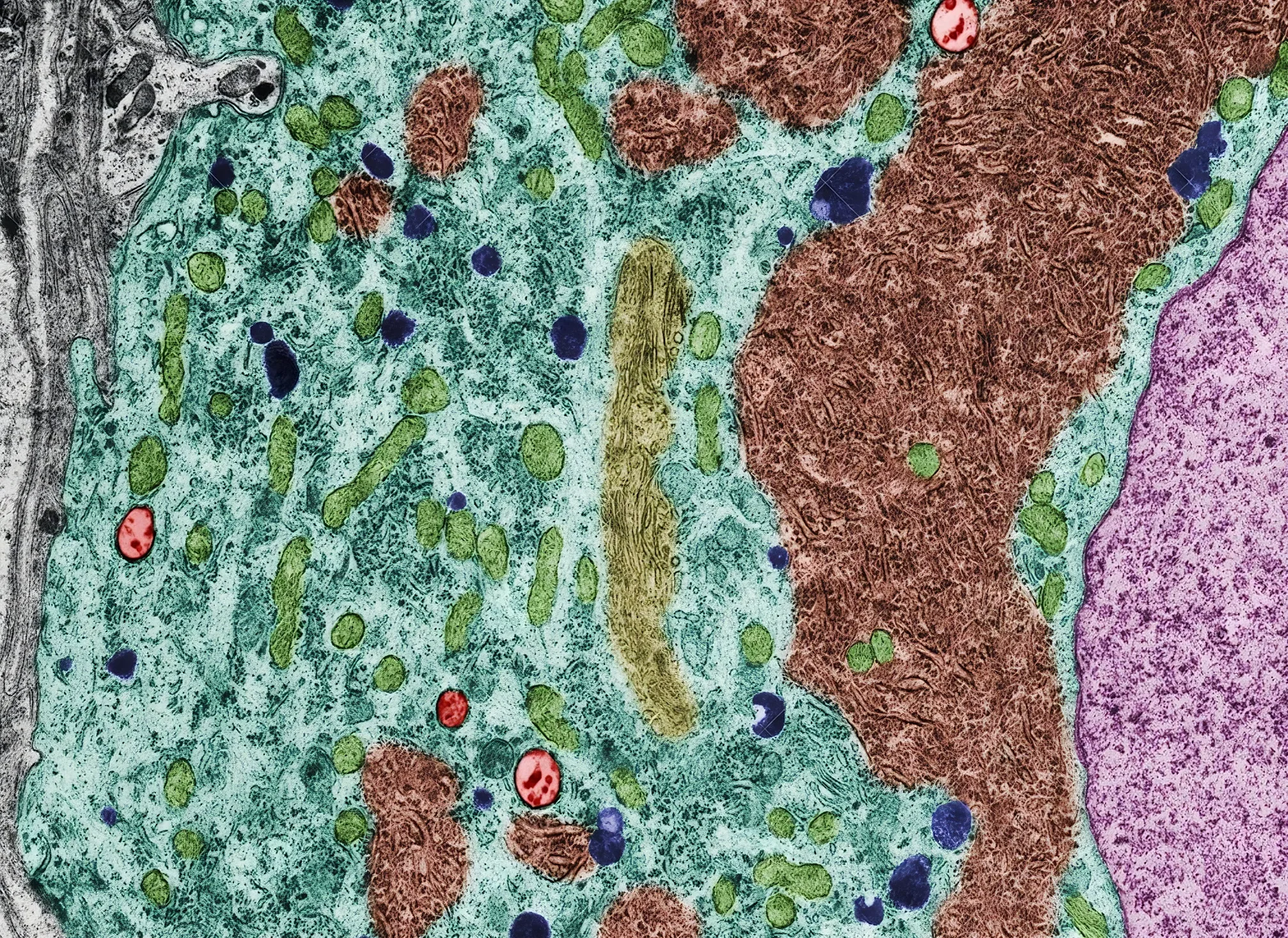 Lire la suite à propos de l’article Retour aux communs, Michel Magny (compte rendu)